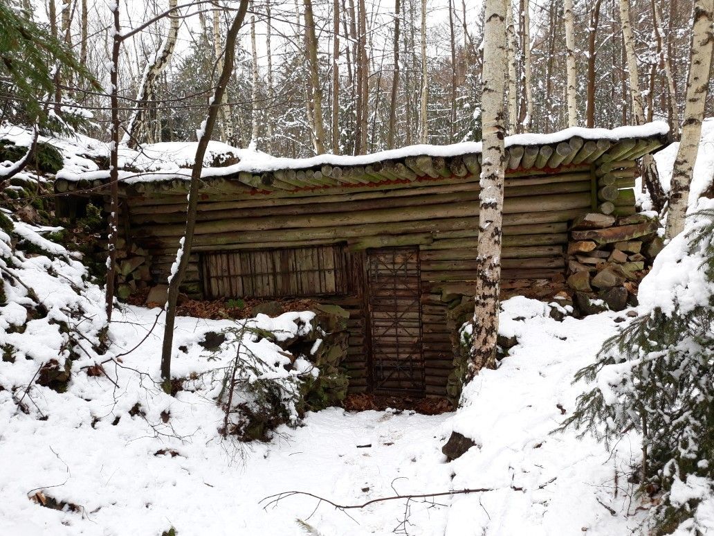 Survival Shelters