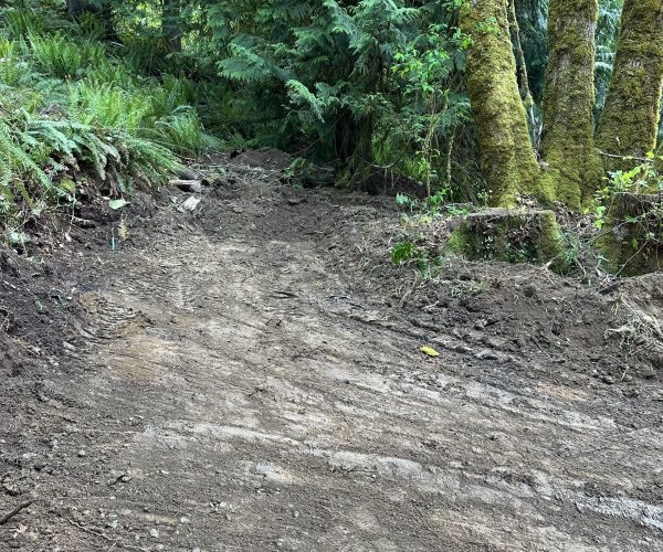 Land, clearing, and leveling