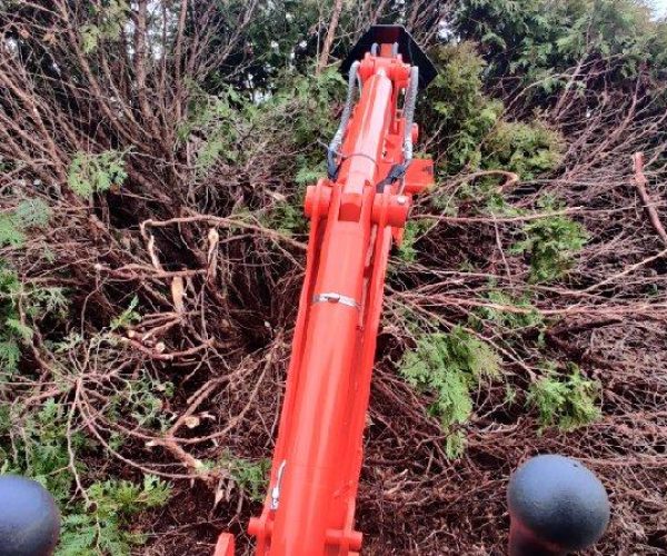 Land clearing